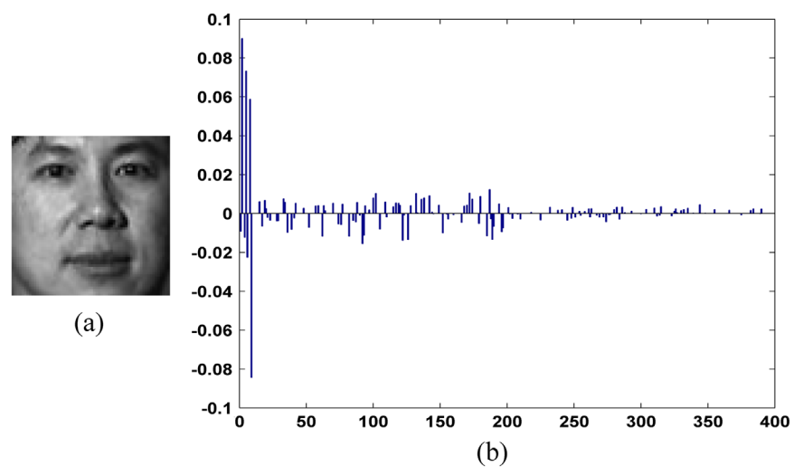  Cost-sensitive dictionary learning for face recognition