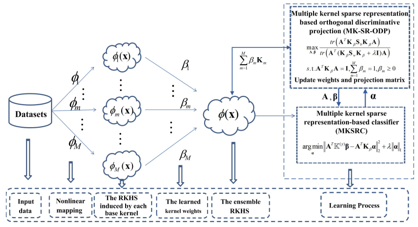  Multiple kernel sparse representation based orthogonal discriminative projection and its cost-sensitive extension