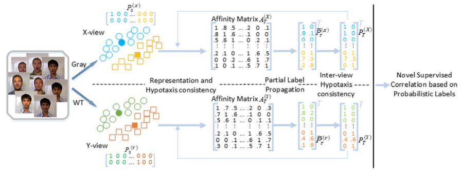  Dual structural consistency based multi-modal correlation propagation projections for data representation