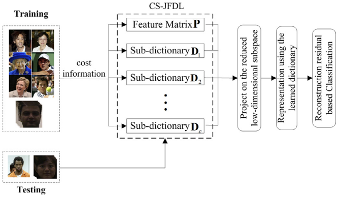 Cost-sensitive Joint Feature and Dictionary Learning for Face Recognition