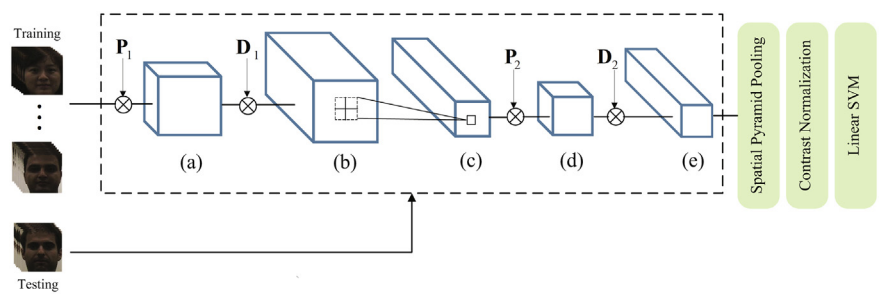 Optimal Discriminative Feature and Dictionary Learning for Image Set Classification