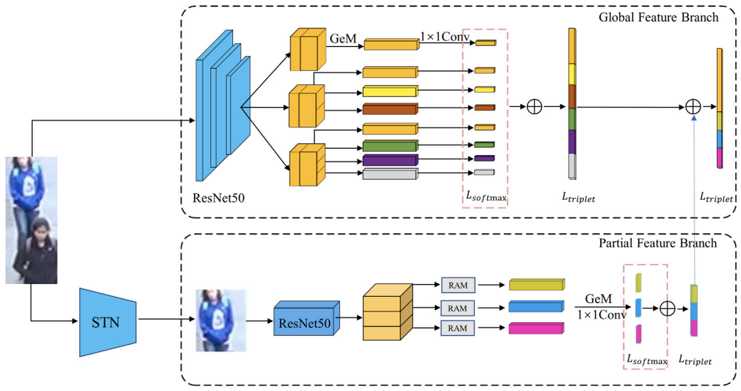 Fine-grained-based Multi-feature Fusion for Occluded Person Re-identification